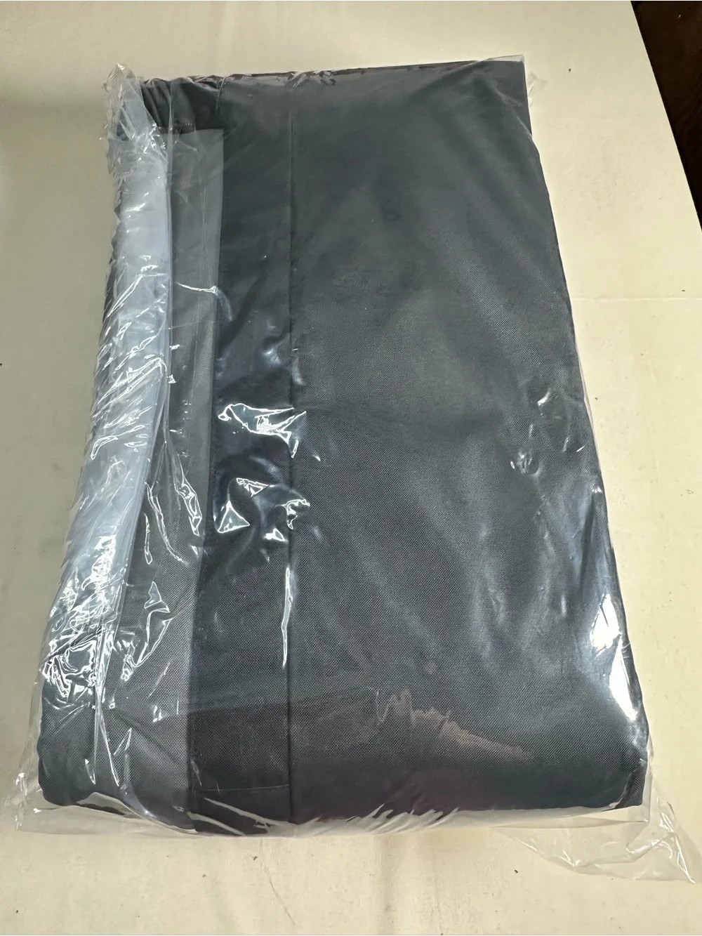 Dakine Padded Ski Sleeve 175cm Color: steel grey ($120 msrp)